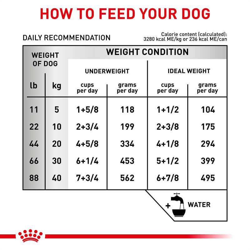Royal Canin Veterinary Diet Adult Multifunction Gastrointestinal Low Fat + Hydrolyzed Protein Dry Dog Food, 1.5 lb bag