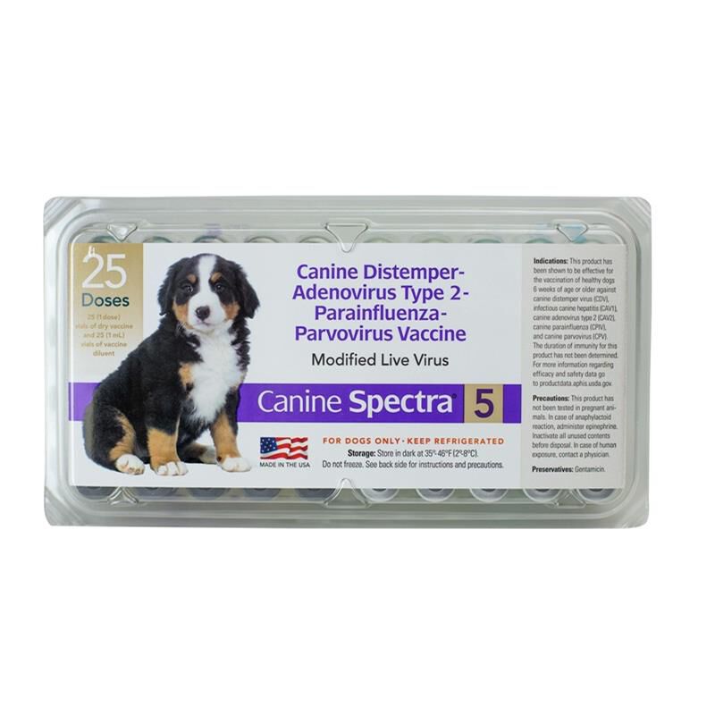 Canine Spectra 5, 25 ds tray w/o syringe