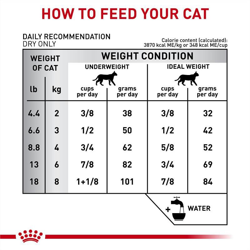 Royal Canin Veterinary Diet Adult Multifunction Gastrointestinal Hydrolyzed Protein Dry Cat Food