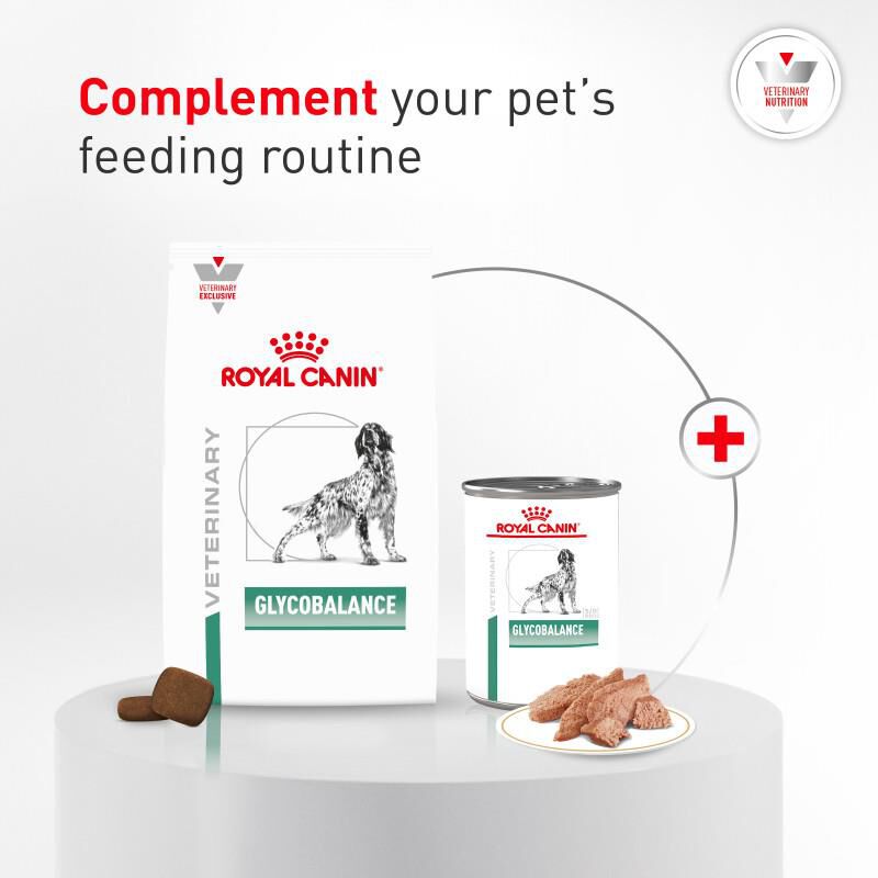 Royal Canin Veterinary Diet Adult Glycobalance Loaf in Sauce Canned Dog Food, 13.4 oz cans