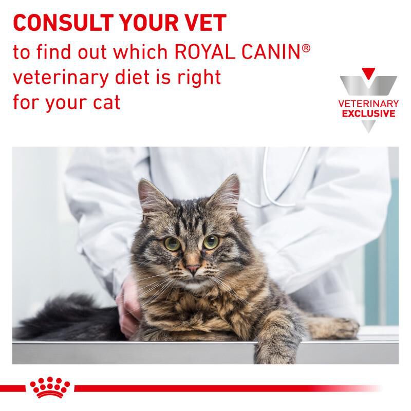 Royal Canin Veterinary Diet Adult Multifunction Urinary SO + Calm Thin Slices in Gravy Canned Cat Food, 24 x 3 oz cans