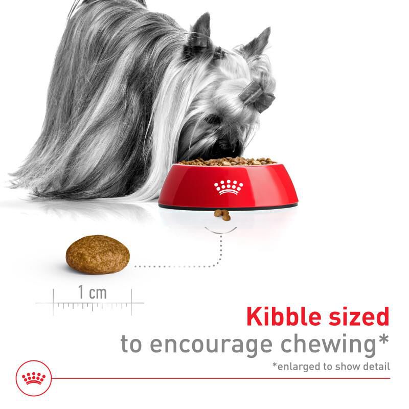Royal Canin Size Health Nutrition X-Small Adult Dry Dog Food