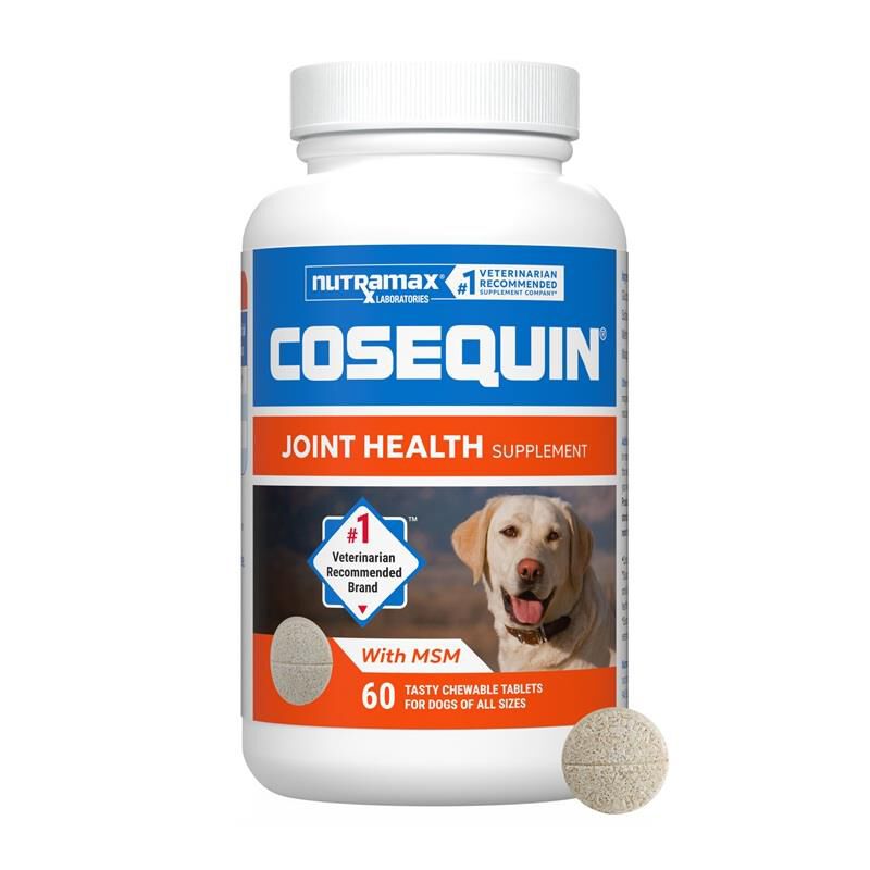 Cosequin Chews Plus MSM
