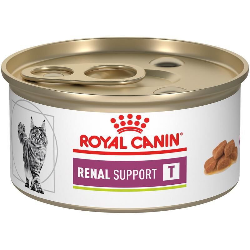 Royal Canin Veterinary Diet Adult Renal Support T Thin Slices in Gravy Canned Cat Food, 3 oz cans