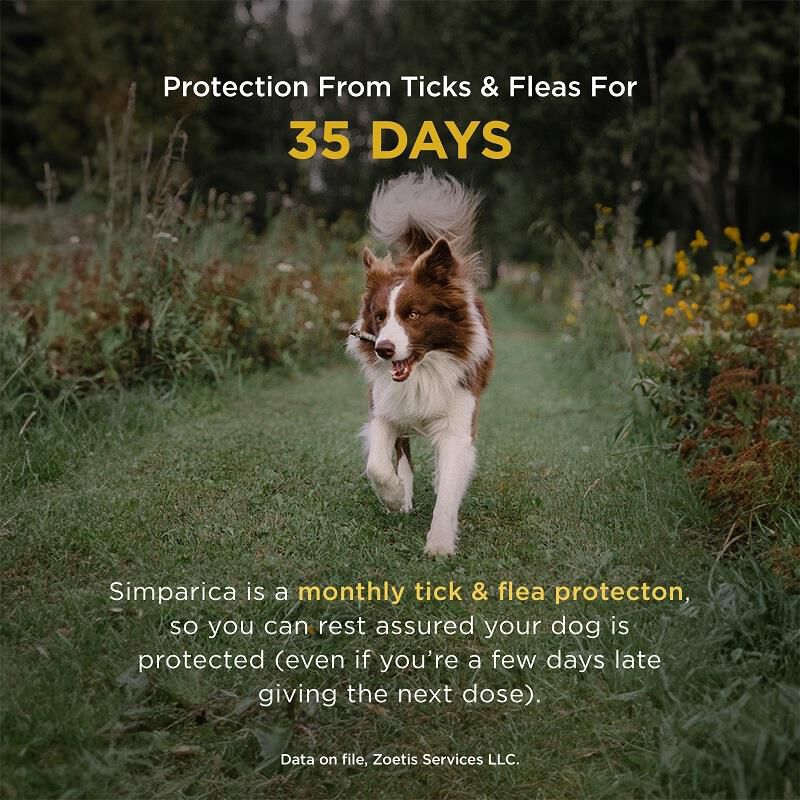 Simparica Chewable Tablets for Dogs 88-132 lbs Brown, 3 Month Supply