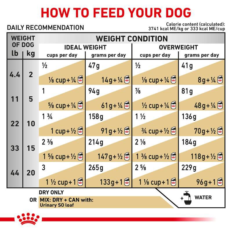 Royal Canin Veterinary Diet Adult Urinary SO Dry Dog Food, 17.6 lb bag