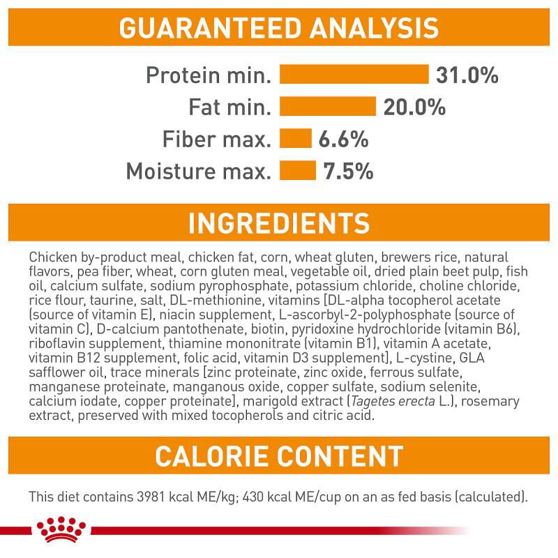 Royal Canin Feline Care Nutrition Adult Hair & Skin Care Dry Cat Food