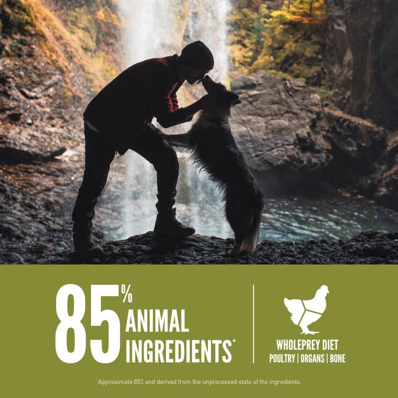 Orijen Senior Dry Dog Food