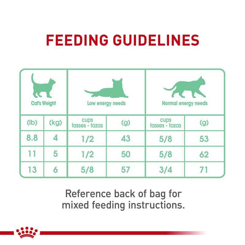Royal Canin Feline Care Nutrition Adult Digestive Care Dry Cat Food, 3 lb bag