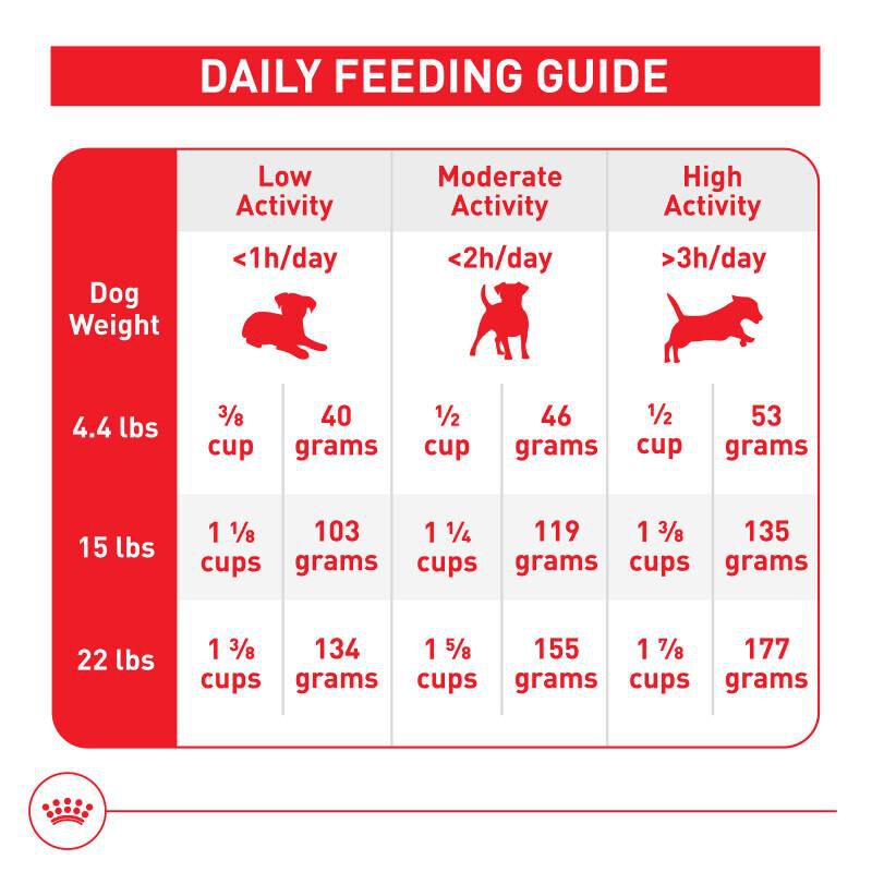 Royal Canin Size Health Nutrition Small Adult Dry Dog Food