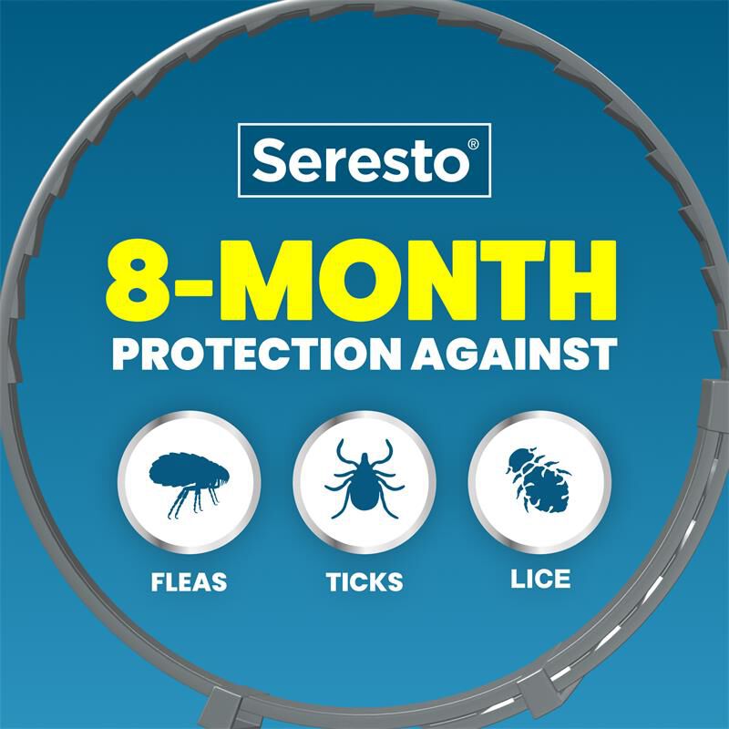 Seresto Flea and Tick Prevention Collar for Large Dogs, 8 month flea and tick prevention