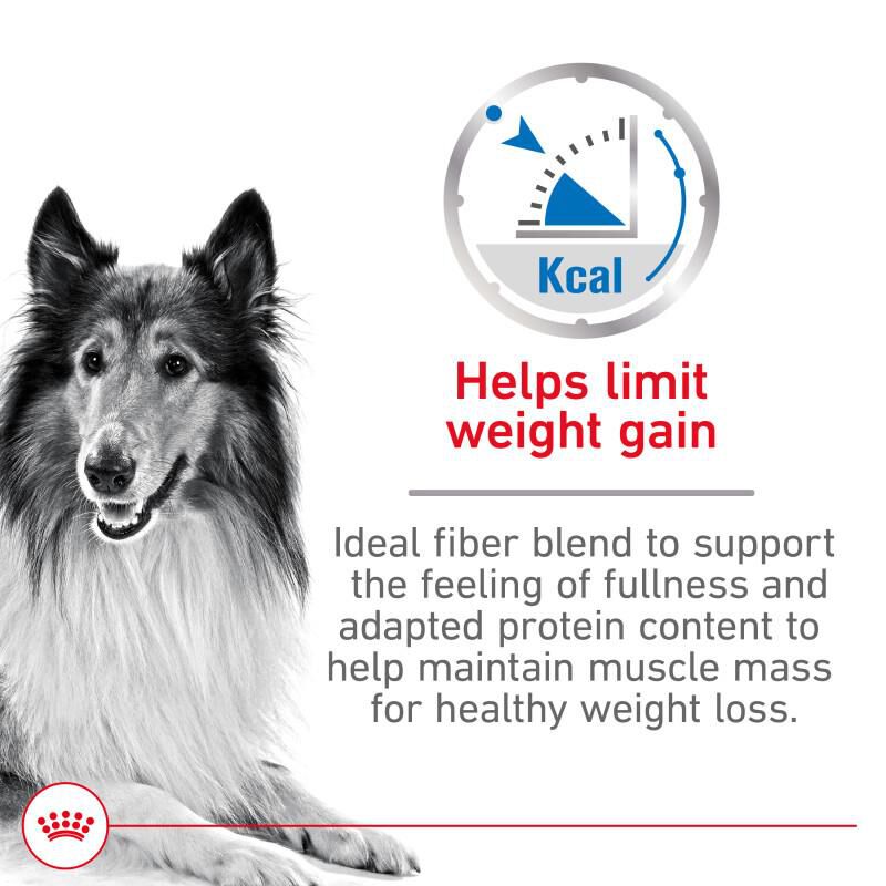 Royal Canin Canine Care Nutrition Large Weight Care Adult Dry Dog Food, 30 lb bag