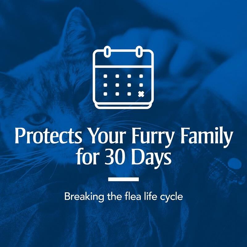 PetArmor Plus for Cats