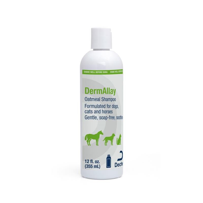 DermAllay Oatmeal Shampoo