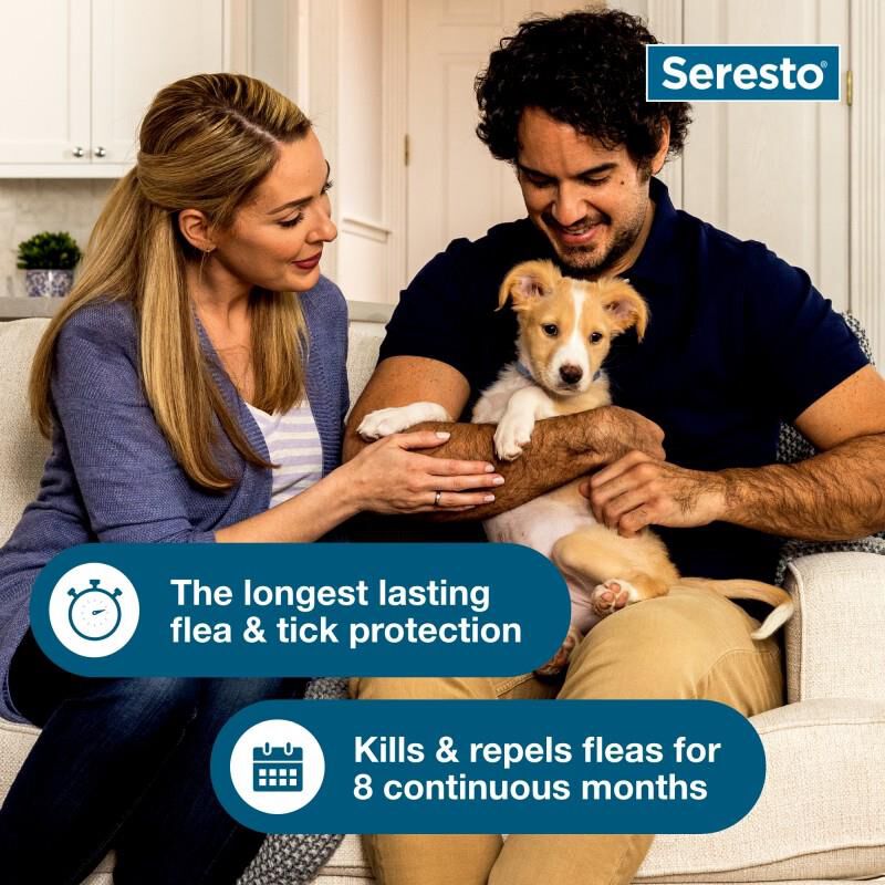 Seresto Flea and Tick Prevention Collar for Small Dogs, 8 month flea and tick prevention