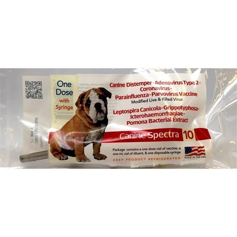 Canine Spectra 10 in Dog Vaccine 10 Way Puppy Shot Allivet