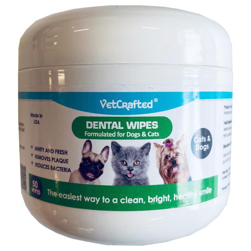 Best dental best sale wipes for cats