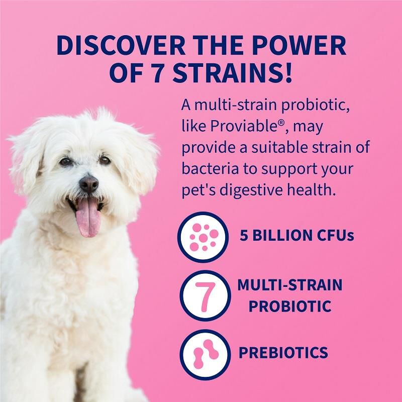 Proviable-DC  for dogs and cats 30 Capsules