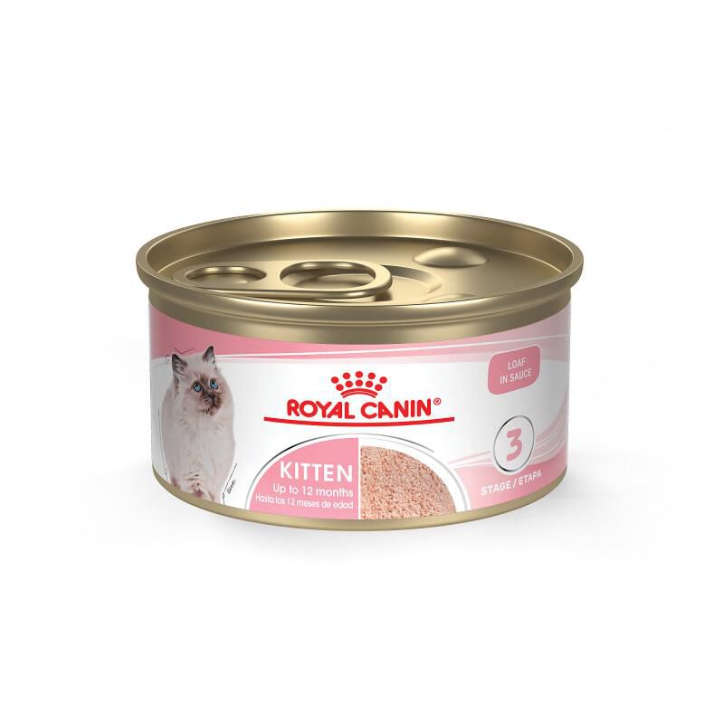 Royal Canin Feline Health Nutrition Kitten Loaf in Sauce Canned Cat Food, Case of 24