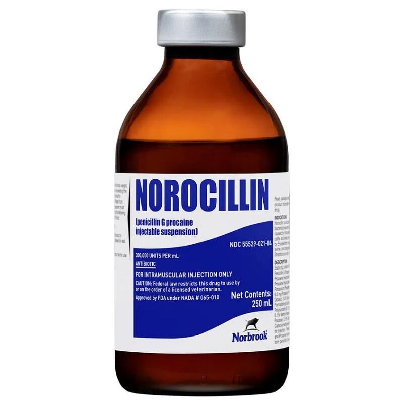 Norocillin Penicillin G Procaine Injectable