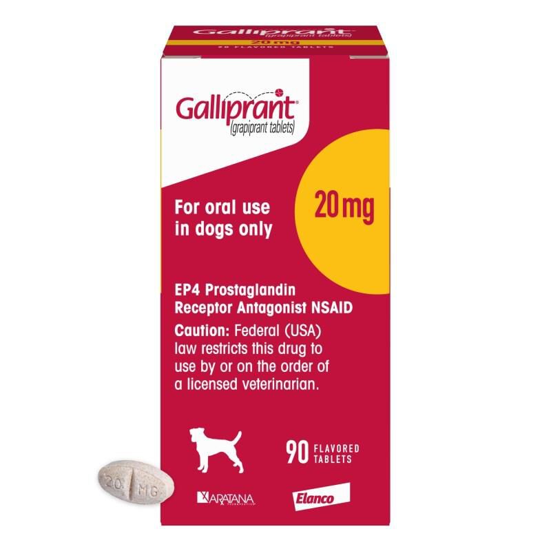 Galliprant (Grapiprant) Flavored Tablets for Dogs Free Shipping Allivet