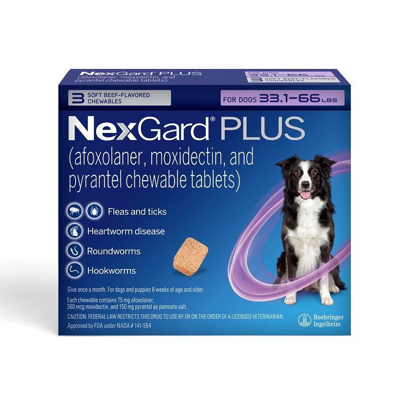 NexGard PLUS Chewables for Dogs 33.1-66 lbs Purple 3 Month Supply