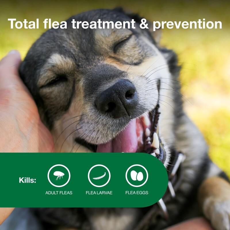 Advantage II Flea Prevention for Medium Dogs, 4 monthly treatments