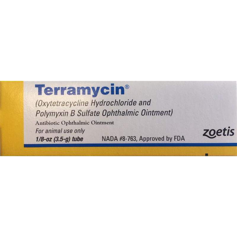 how do i apply terramycin ophthalmic ointment to my dog