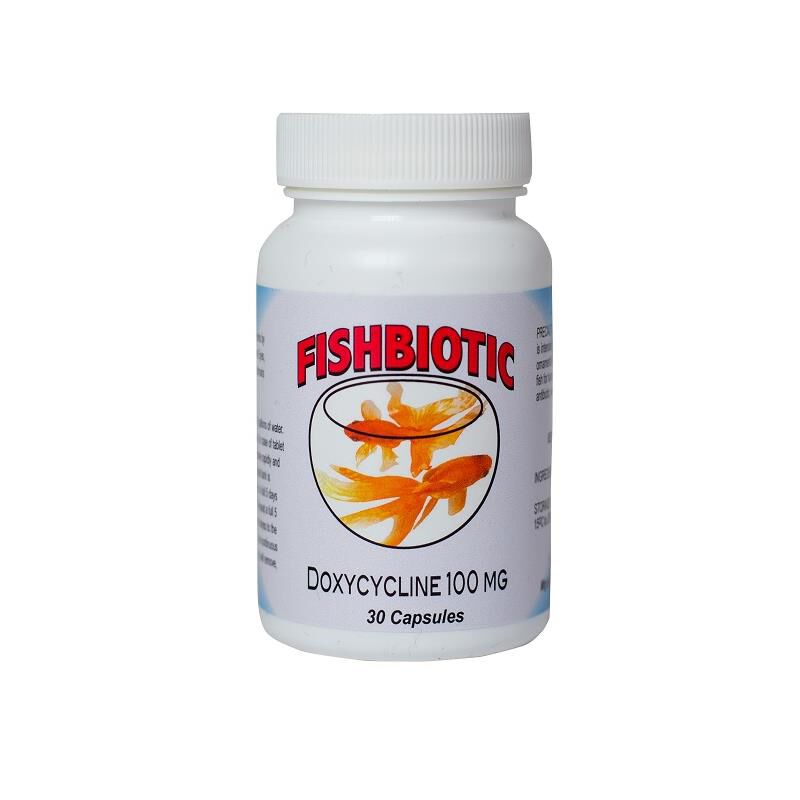 Doxycycline Sr Capsule 100mg