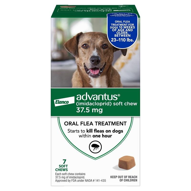 Advantus Oral Flea Treatment Soft Chews for Dogs, 37.5 mg for Large Dogs (23-110 lbs) 7 Ct.