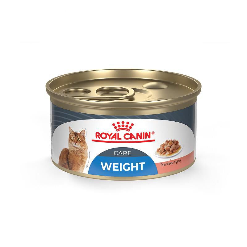 Royal Canin Feline Care Nutrition Adult Weight Care Thin Slices in Gravy Canned Cat Food, 24 x 3 oz cans