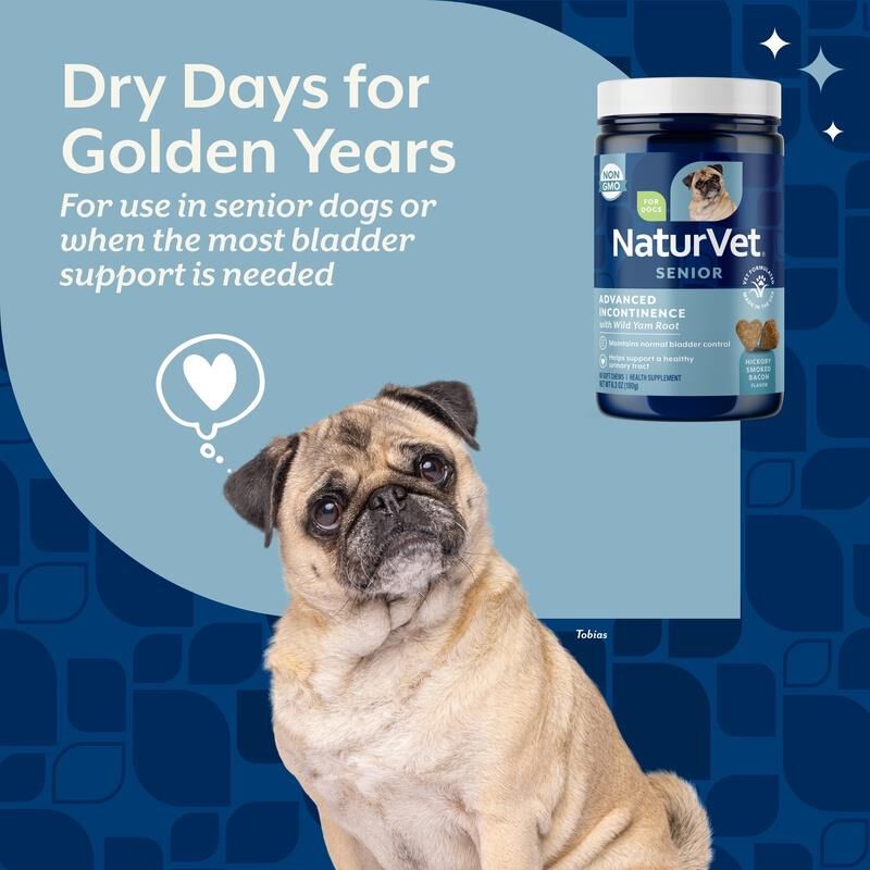 NaturVet Senior Advanced Incontinence Soft Chews Supplement for Dogs 60 Ct.
