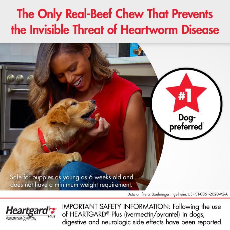 Heartgard Plus Chewables for Dogs - Protects from Heartworm