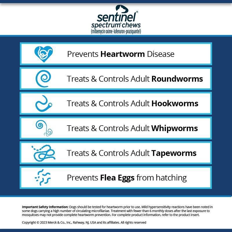 Sentinel Spectrum Chewable Tablets for Dogs 50.1-100 lbs Blue, 6 Month Supply