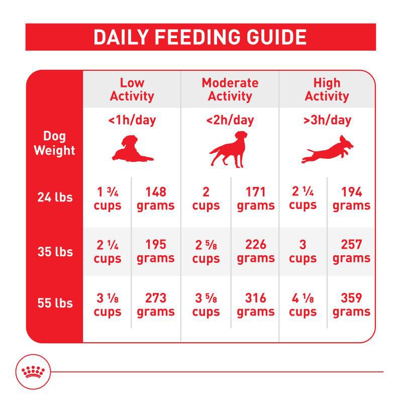 Royal Canin Size Health Nutrition Medium Adult 7+ Dry Dog Food, 30 lb bag