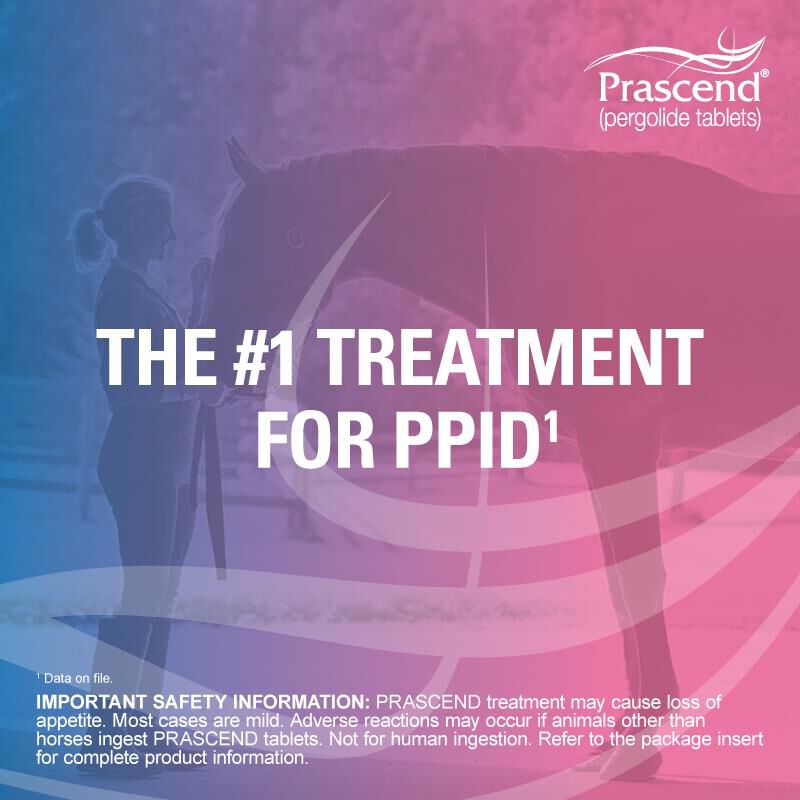 Prascend (pergolide tablets) for Horses 1 mg, 160 Ct.