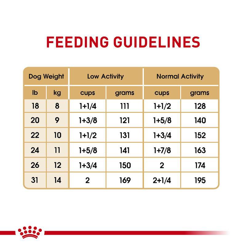 Royal Canin Breed Health Nutrition French Bulldog Adult Dry Dog Food, 17 lb bag