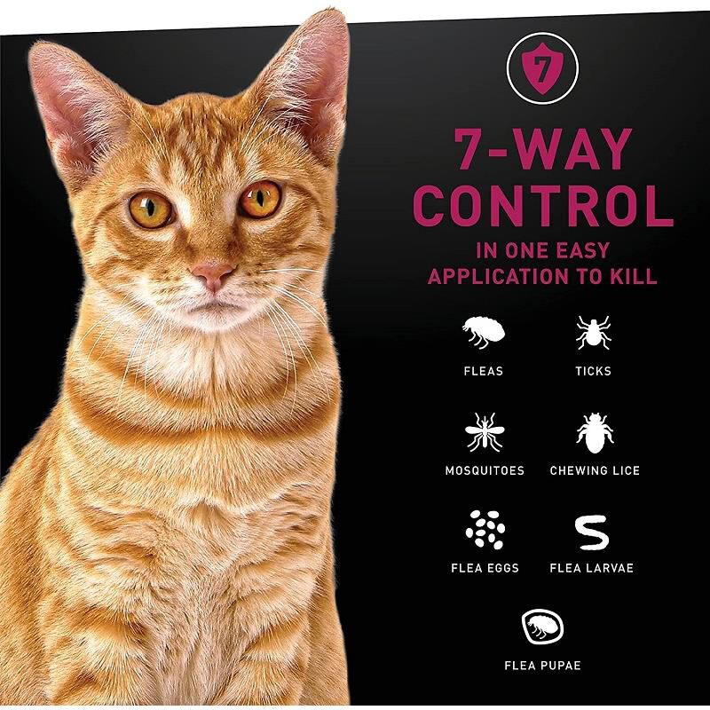 NEXTSTAR Fast Acting Cat Flea & Tick Treatment, 3 doses