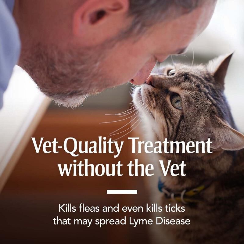 PetArmor Plus for Cats Allivet