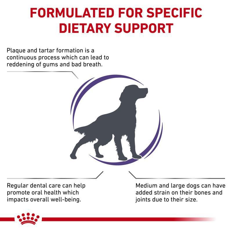 Royal Canin Veterinary Diet Adult Dental Medium & Large Breed Dry Dog Food