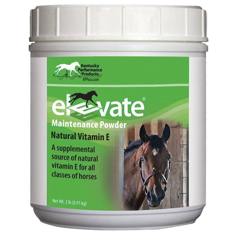 Elevate Vitamin E Powder for Horses Equine Supplements Allivet