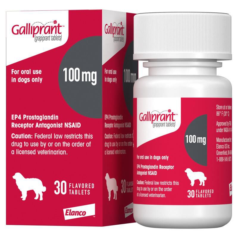 Galliprant Flavored Tablets 20 mg, 60 mg, 100 mg Allivet