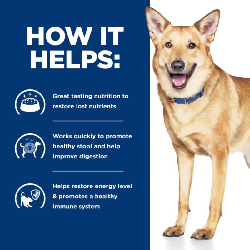 Hill's Prescription Diet i/d Digestive Care with Turkey Canned Dog Food, 12 x 13 oz cans