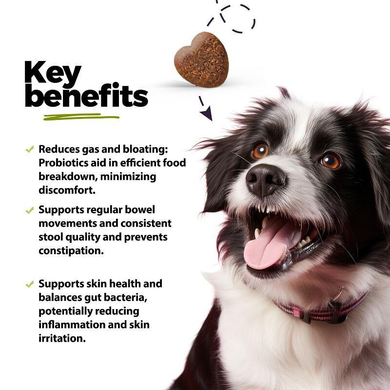 Gut, Prebiotic & Probiotics Soft Chews for Dogs, 60 ct