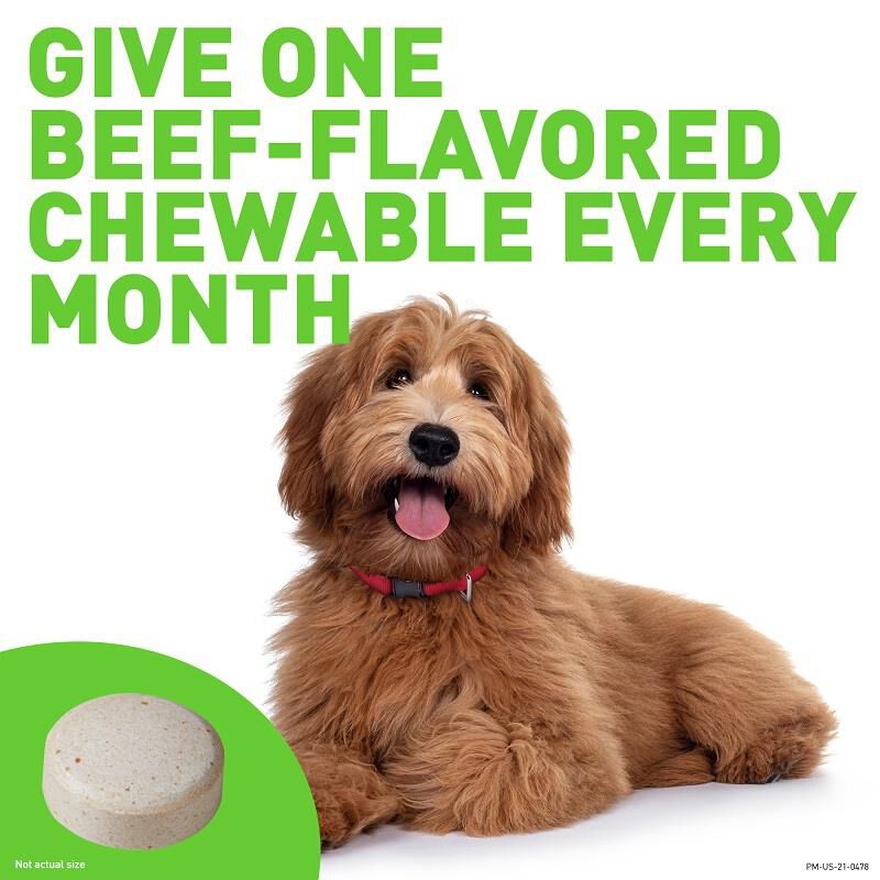 Credelio sales flea medication
