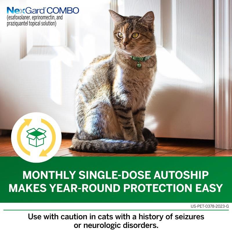 NexGard COMBO Topical for Cats and Kittens