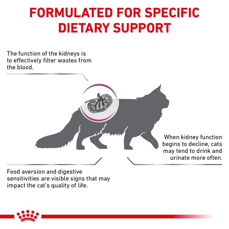 Royal Canin Veterinary Diet Adult Renal Support A Dry Cat Food