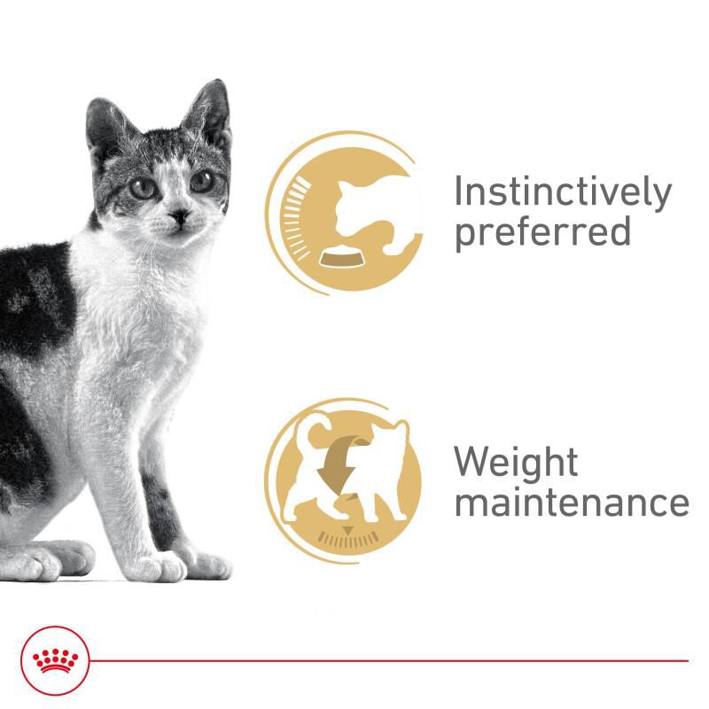 Royal Canin Feline Health Nutrition Adult Instinctive Thin Slices in Gravy Canned Cat Food, 24 x 3 oz cans