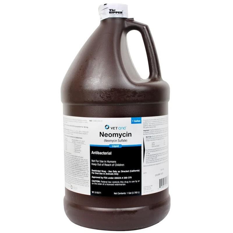 VetOne Neomycin Antibacterial Liquid for Livestock, Gallon