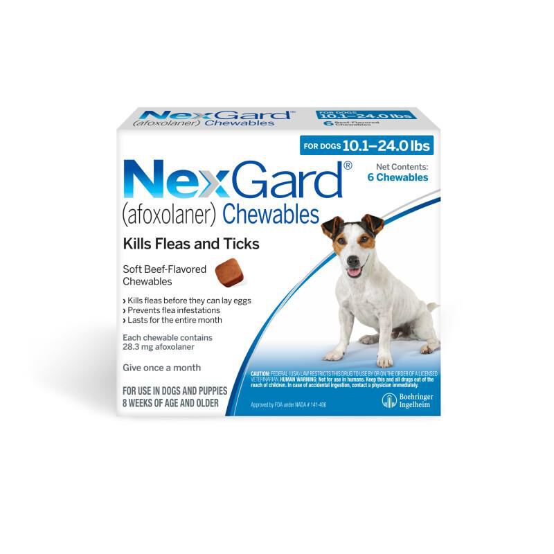 Nexgard for Dogs 10.1 - 24.0 lbs,6 Month Supply